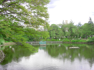 鹿沼公園の湖