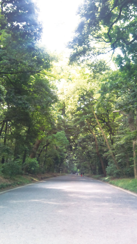 meijijingu